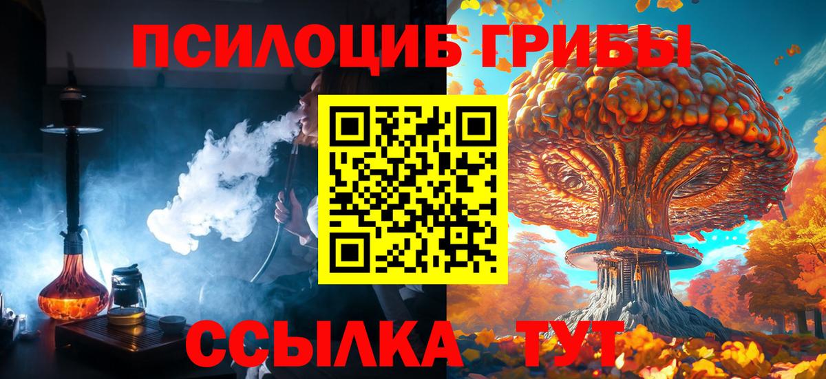 Новый Уренгой  Псилоцибиновые грибы Magic Shrooms  Вход с VPN 