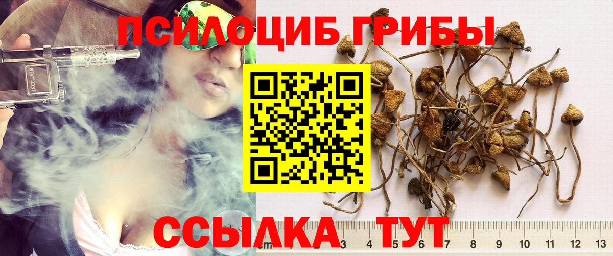 Мефедрон   МЕФ  Сколько стоит  A PVP СОЛЬ кристаллы  Кокаин  Вход с VPN  Новый Уренгой  NBOMe  ГАШ  Марихуана 
